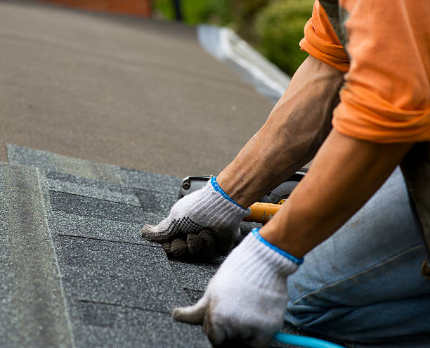 Best Roof Repair Services  in La Vergne, TN